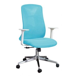 A261-4A 中型網布人體工學辦公椅